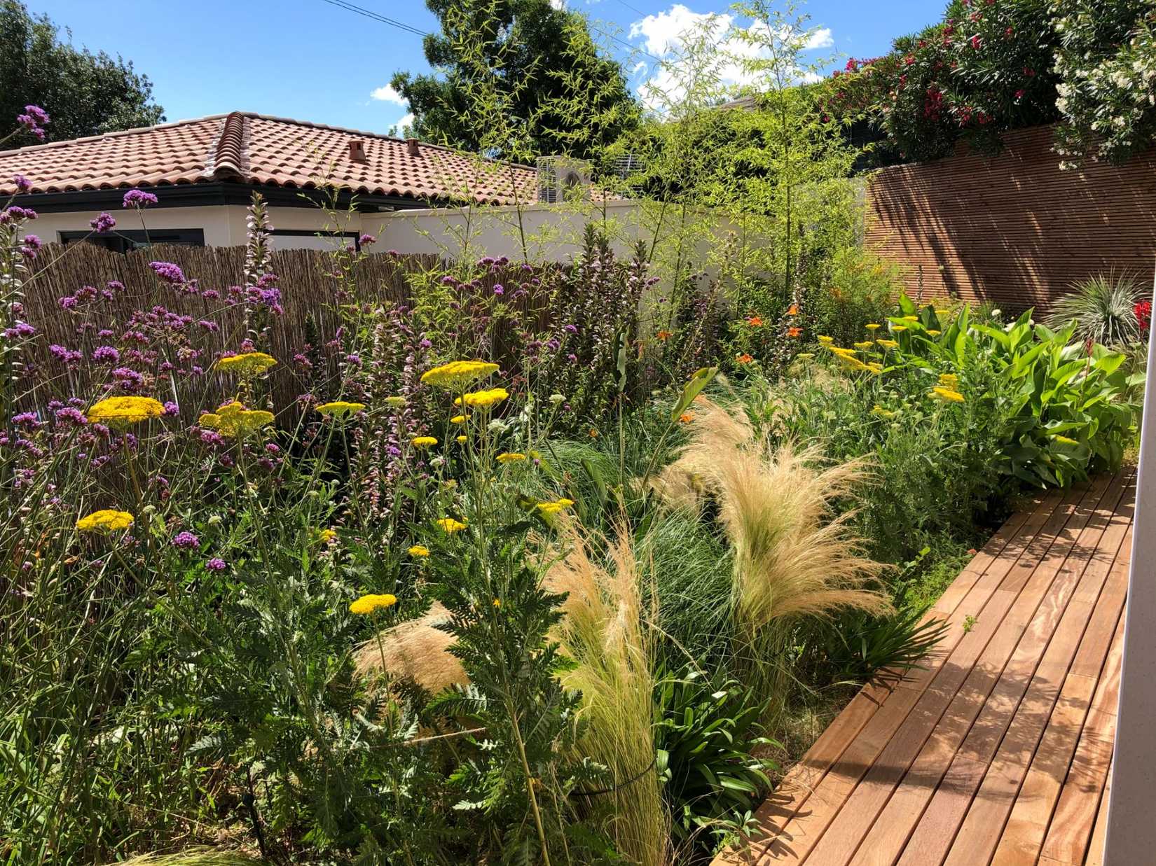 Cr Er Une Oasis De Verdure Dans Un Lotissement