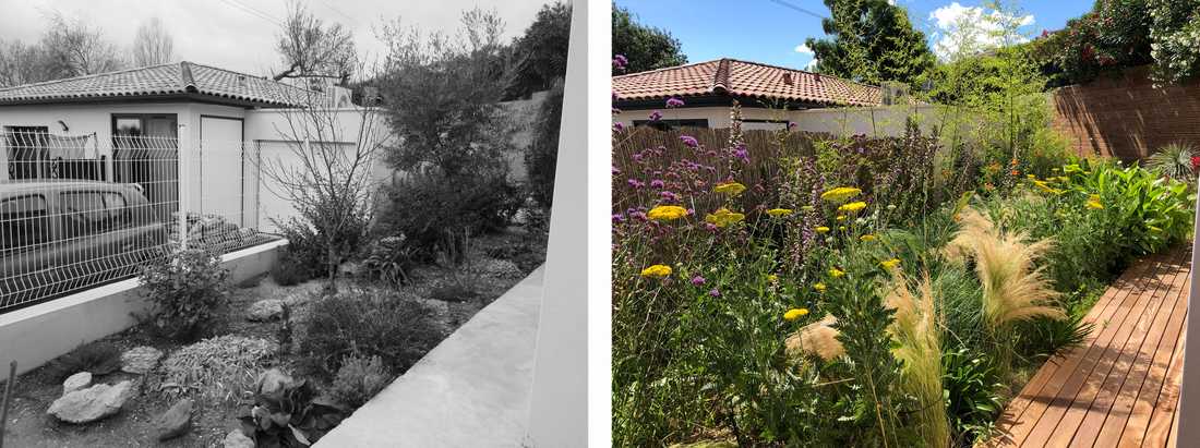Avant-après de l'aménagement d'une petit jardin dans un lotissement par un paysagiste en Gironde