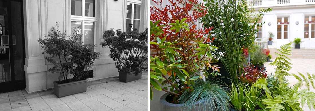Un jardinier paysagiste aménage la cour intérieure d'un hôtel particulier à Bordeaux