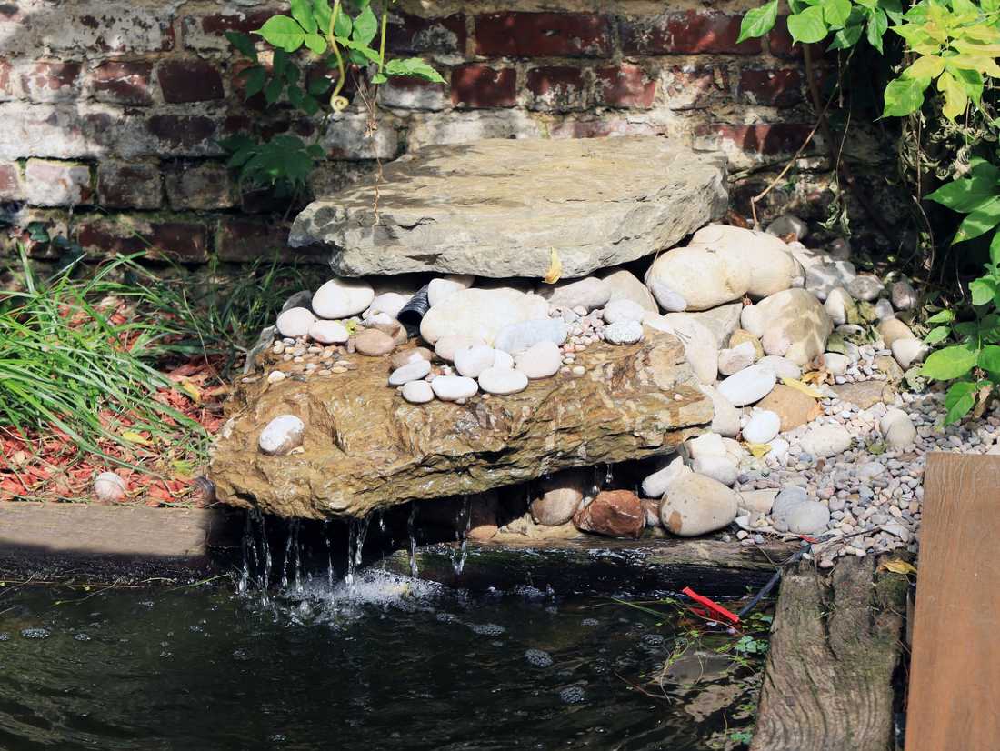 Aménagement d'une source dans un petit jardin